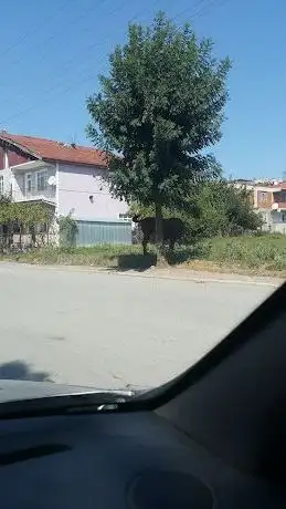 Photo de Yeşilyurt Parkı