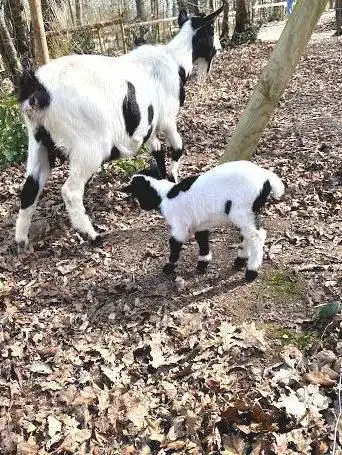 Photo de La Ferme Du Paradis