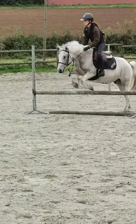 Photo de Ecurie Saint Waast Sarl
