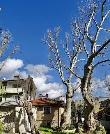 Photo de Çengelköy Çeşmesi