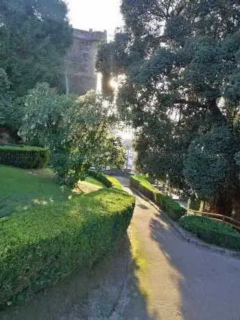 Photo de Lombardero Garden