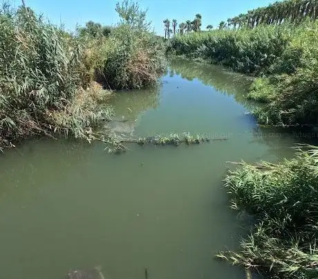 Photo de Schildkrötenbrücke Turtle Bridge