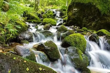 Photo de Cascade de Battion