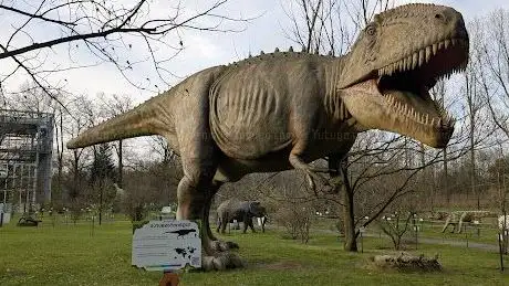 Photo of Oertijdmuseum