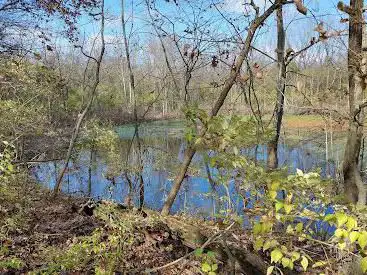 Stemler Cave Woods Nature Preserve