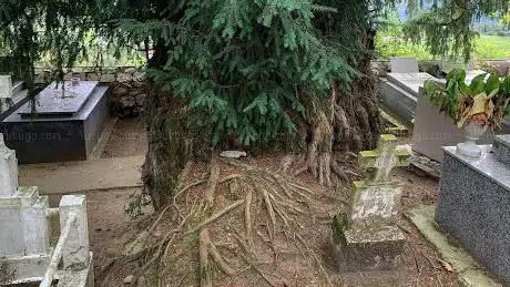 Photo de Monumento Natural Texu de Salas