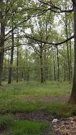 Photo of Forêt Domaniale de Rambouillet