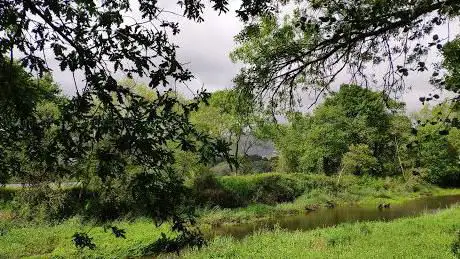 Photo de Illa do Ariño