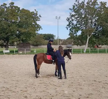 Photo de Horse Academy