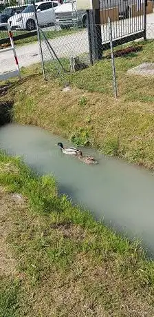 Photo de Selva dei Pioppi - Oasi Naturale