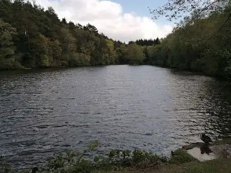 Photo de Brittas Forest Recreation Area
