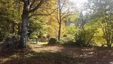 Photo de Kyffhäuser Platz Nindorf