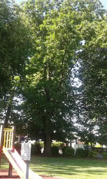 Photo de Parc Du Vert Feuillage