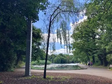 Photo de Bushy Park Waterfall