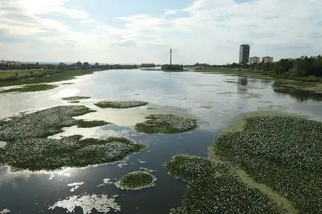 Photo de Guadiana Park
