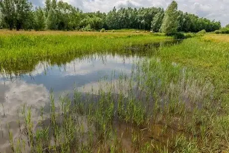 Photo of Gemene-Weidebeek