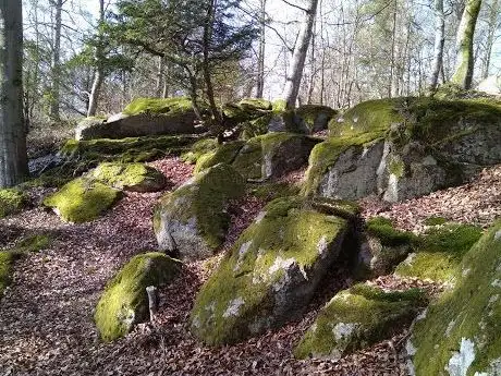 Photo de Doftträdgården