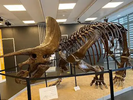 Photo de Miquel Crusafont Catalan Institute of Paleontology