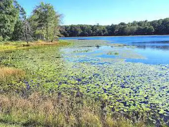 Photo de Patuxent Research Refuge
