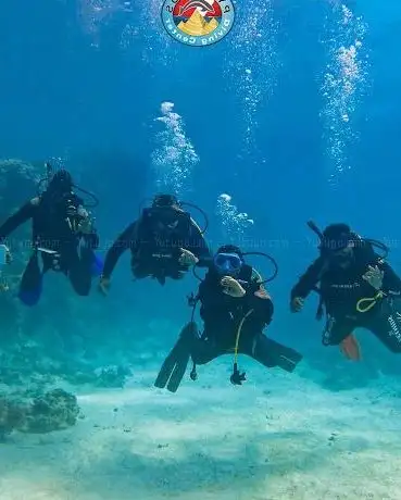 Photo de Royal pyramids diving center Rixos Sharm