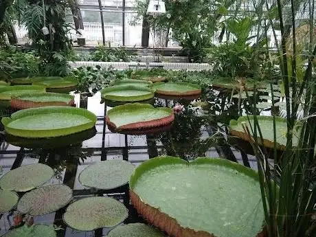 Photo of Jardin botanique de Berlin