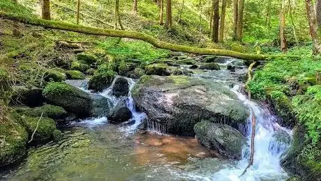 Photo de Steinbachklamm