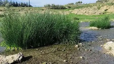 Photo de عين تمدرين Ain Timdrine