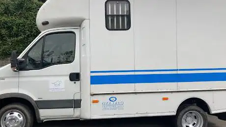 Photo de Callia Horses Transport