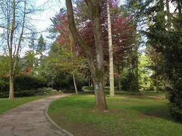 Photo de Parc Tony Neuman