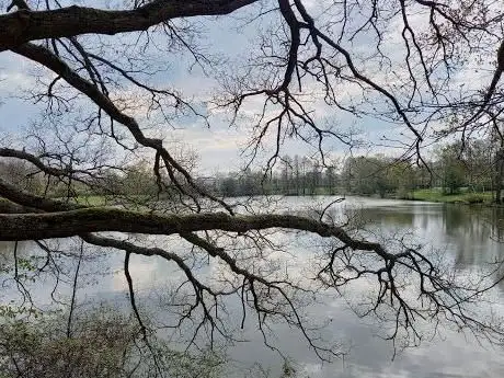 Photo de Bois des Réaux