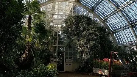 Photo de Grande Serre aux palmiers de Schönbrunn