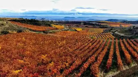 Photo de Prensas y lagares rupestres de Zabala