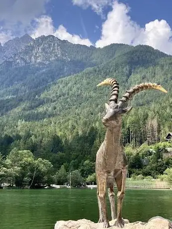 Photo de Zlatorog - Le Chamois Blanc