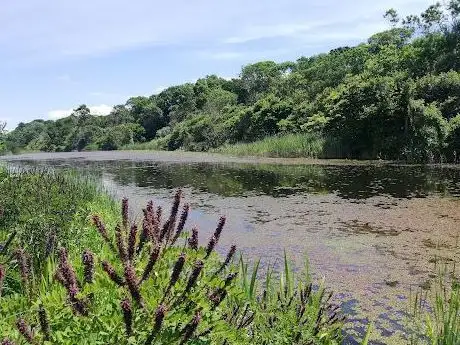 Photo de Lake Saka