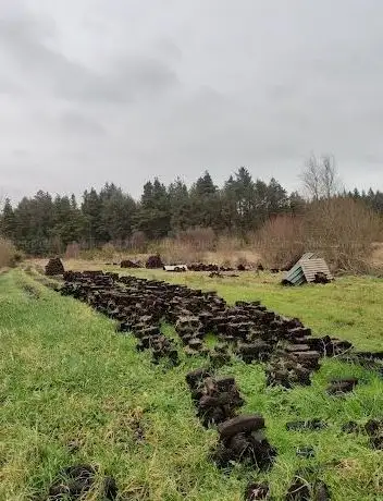 Photo de Tullaghanstown Bog