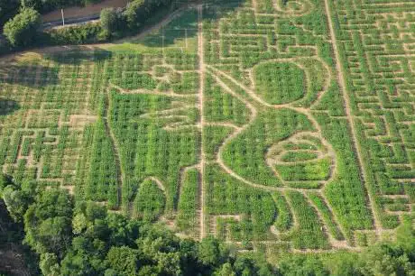 Photo de labyrinthe végètal