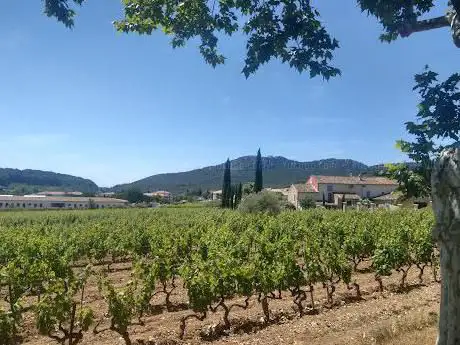 Photo de Le Vin A la Bouche