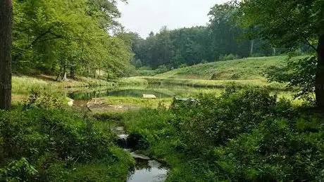 Photo de Bois de Thy
