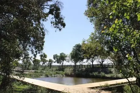 Photo de Viveiros da Barrinha