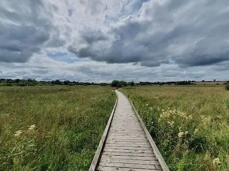 Pollardstown Fen