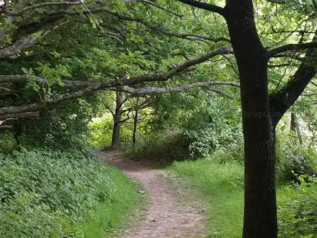 Photo de Woodcock Hill Village Green