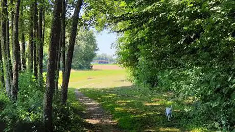 Photo de Aire de pique-nique