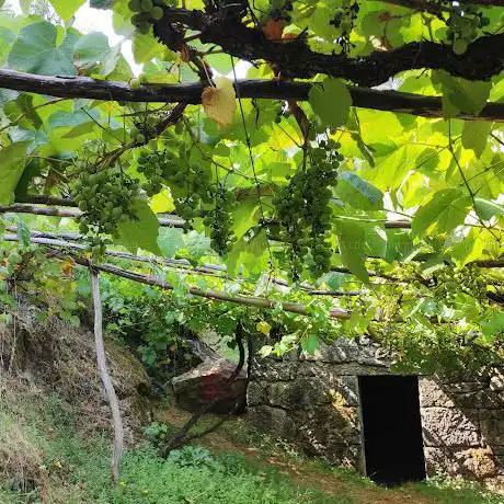 Photo de Fervenza do Rachón