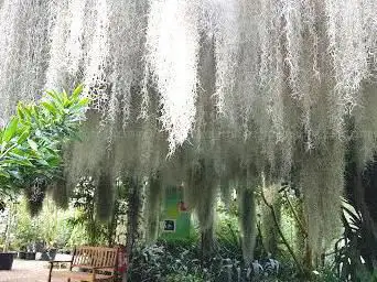 Photo de Bourgailh Garden