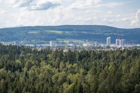 Photo de Observation tower Hardwald
