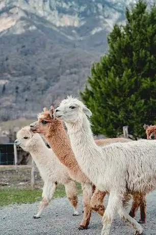 Photo of La Ferme de So - Ferme pédagogique