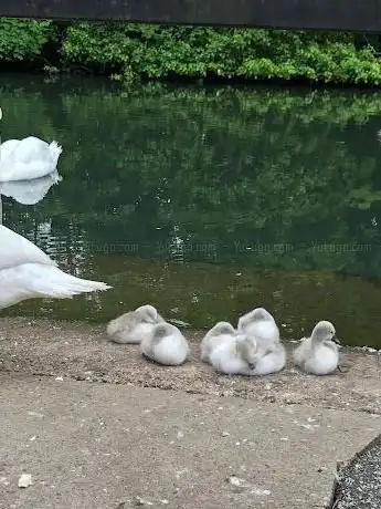 Photo de Thornes Park Aviary