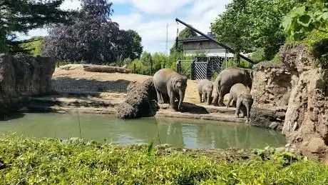 Zoo de Dublin