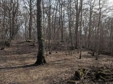 Photo de Hasselbackarna