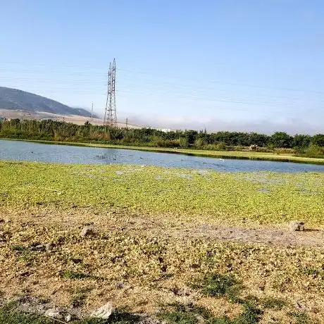 Photo de كرنيش الجواهر